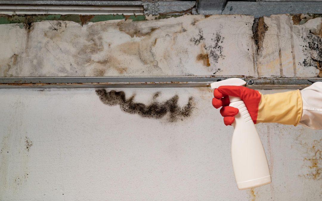 Try These Simple Steps to Remove Mold from Your Walls