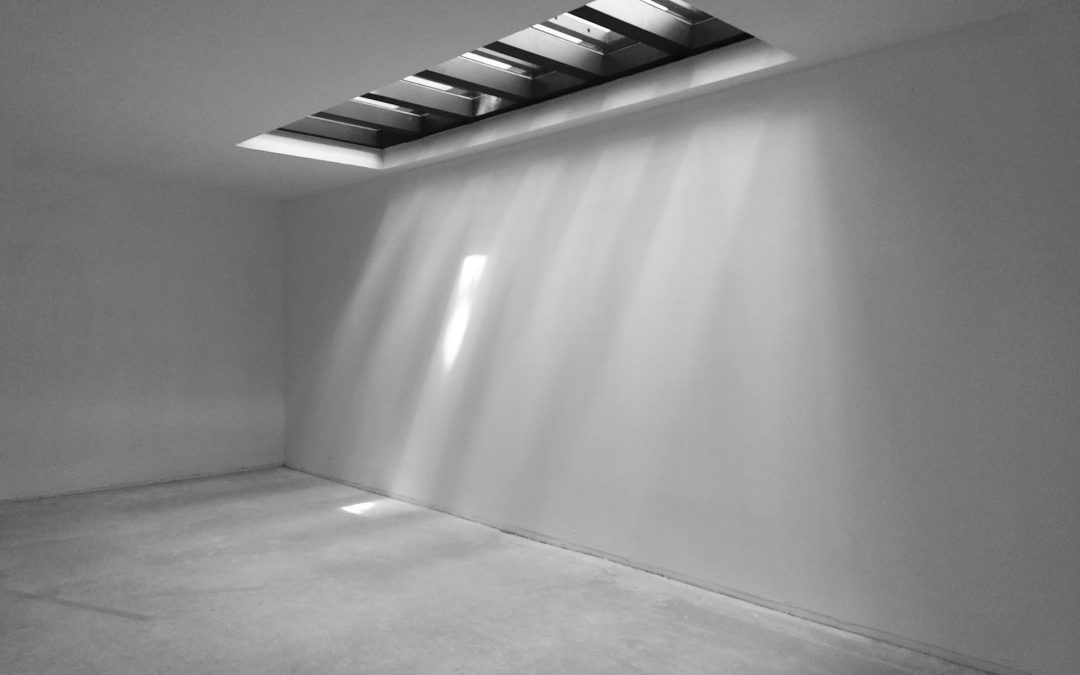 How To Prevent Mold Growth in Basements