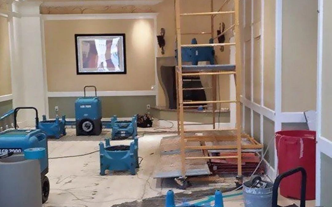 What Should Homeowners Look for When Choosing a Restoration Company in Indianapolis?