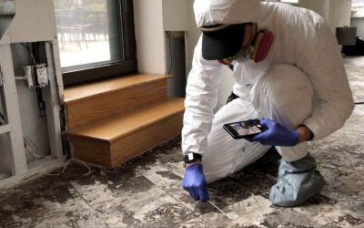 How Much Does It Cost to Hire a Restoration Company in Indianapolis for Mold Remediation?