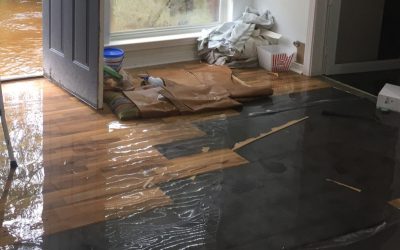 Can Water Damage Be Covered by Insurance in Carmel, IN?