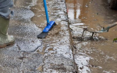 What Are the Most Common Causes of Water Damage in Greenwood, IN?