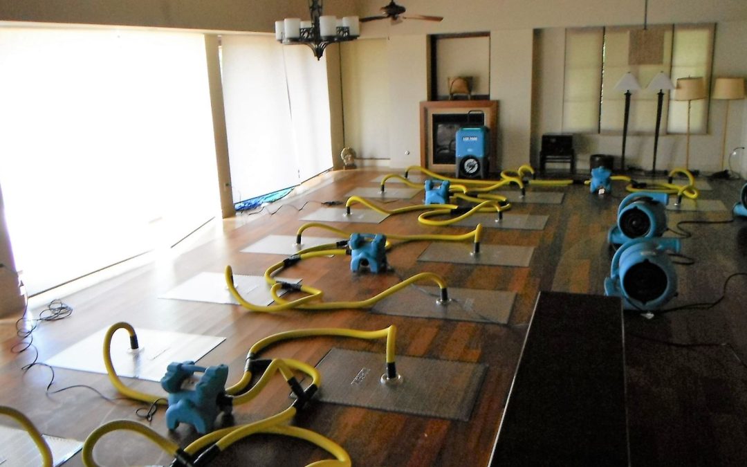 What Should You Do Immediately After Water Damage in Greenwood, IN?