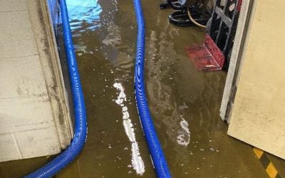 How Long Does Water Damage Restoration Take in Greenwood, IN Homes?