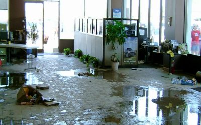 What Should You Do Immediately After Water Damage in Fishers, IN?