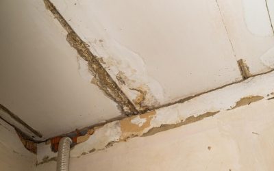 , Blog, A+ Restoration Services Top Emergency Water Damage Solutions for Homeowners