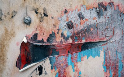 Mold Remediation: Tackling Common Household Mold Problems in Indianapolis
